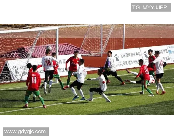 足球明星的辉煌与奋斗之路纪录片深度解说带你走进他们的传奇人生