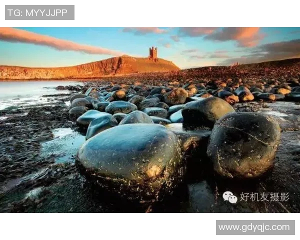 亚自由与飓风的历史交织与对比探讨