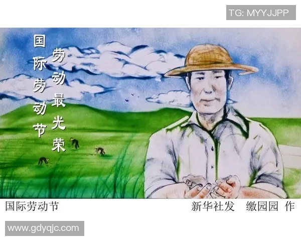 张宁：从平凡到卓越的奋斗历程与成就分享