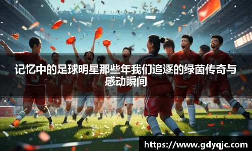 记忆中的足球明星那些年我们追逐的绿茵传奇与感动瞬间