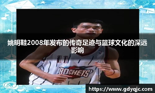 姚明鞋2008年发布的传奇足迹与篮球文化的深远影响